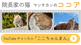 ココアのYouTubeへリンク画像